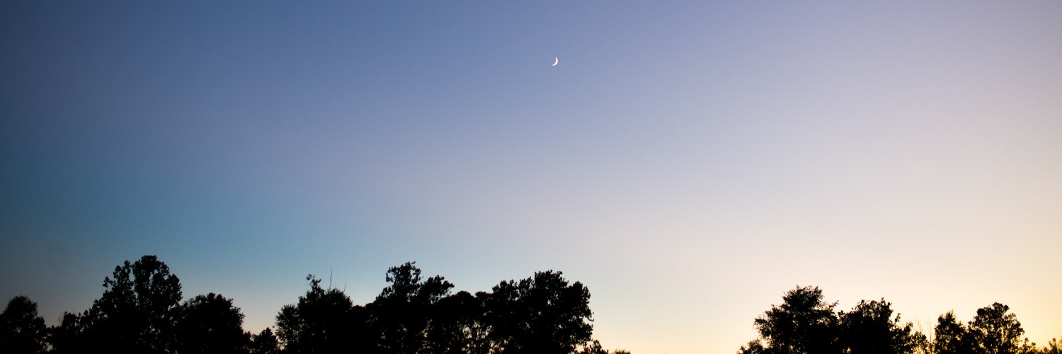 kaleighthewolfe's profile banner image