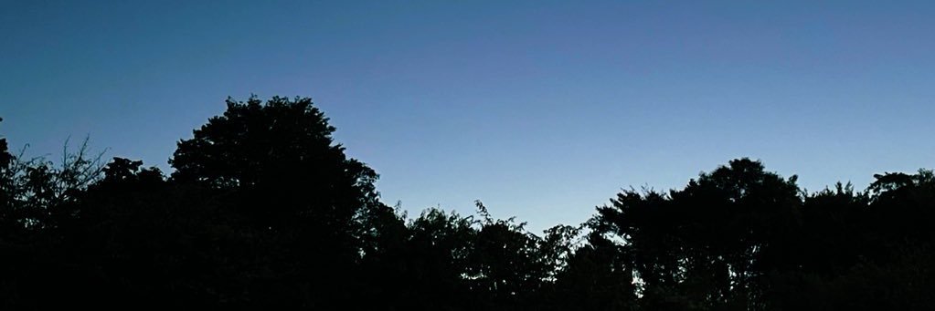 ragoriko's profile banner image