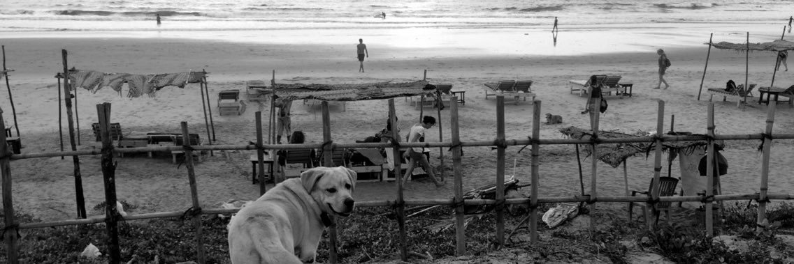 priyanjanaG's profile banner image