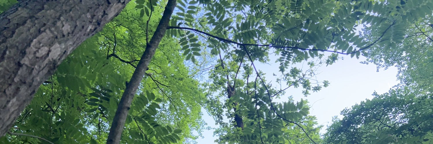 GoosR13's profile banner image