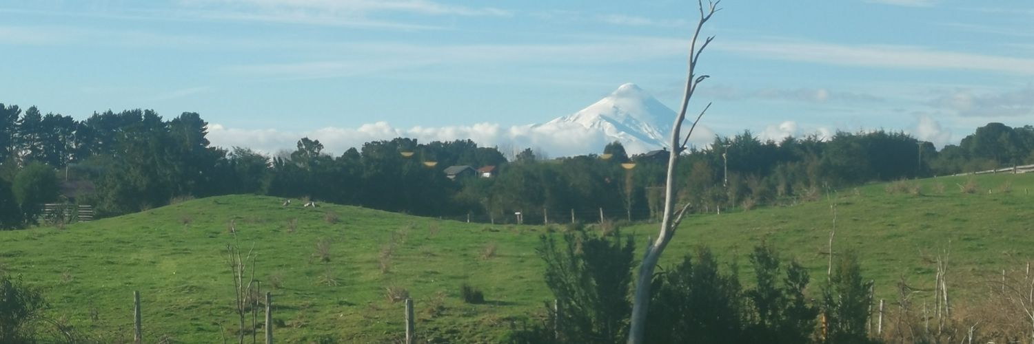 Esteban Abarzúa L. banner