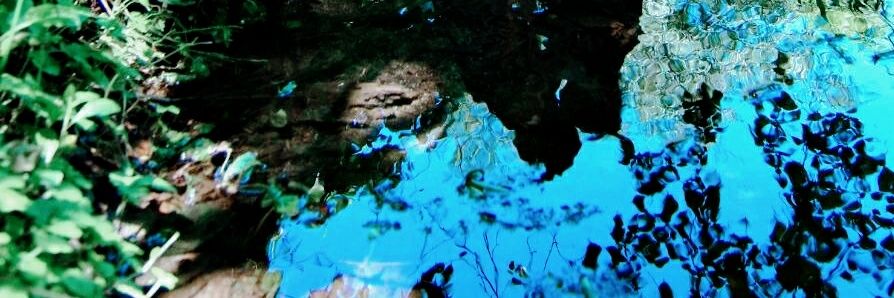 なす野@21.ASSHC banner