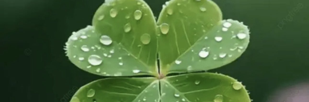 fallatahsafaa's profile banner image