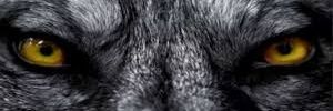 Yeidi_CB01's profile banner image