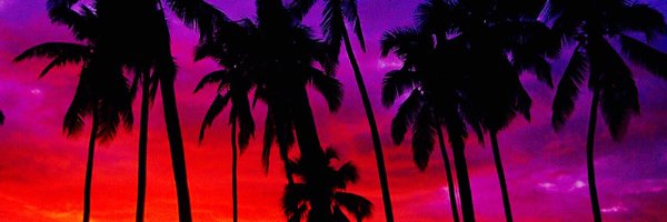 SCAnimalsLA Profile Banner