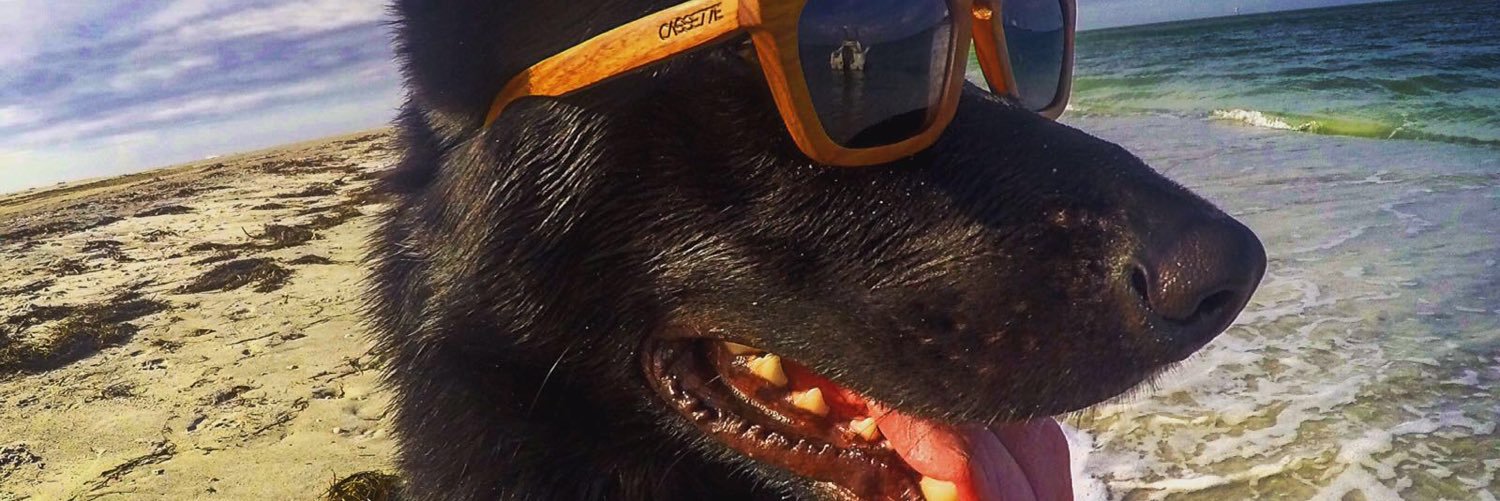 DFSBradLamb's profile banner image