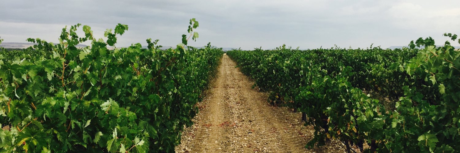 ConcejoBodegas banner