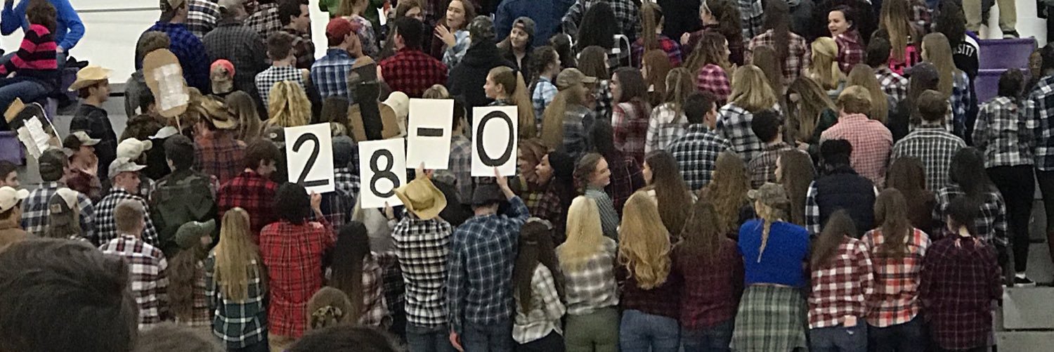 thenest2017's profile banner image