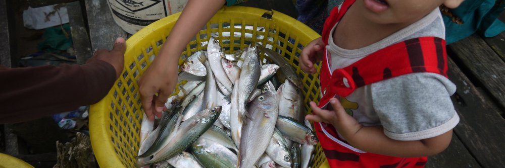 Nathan J Bennett banner