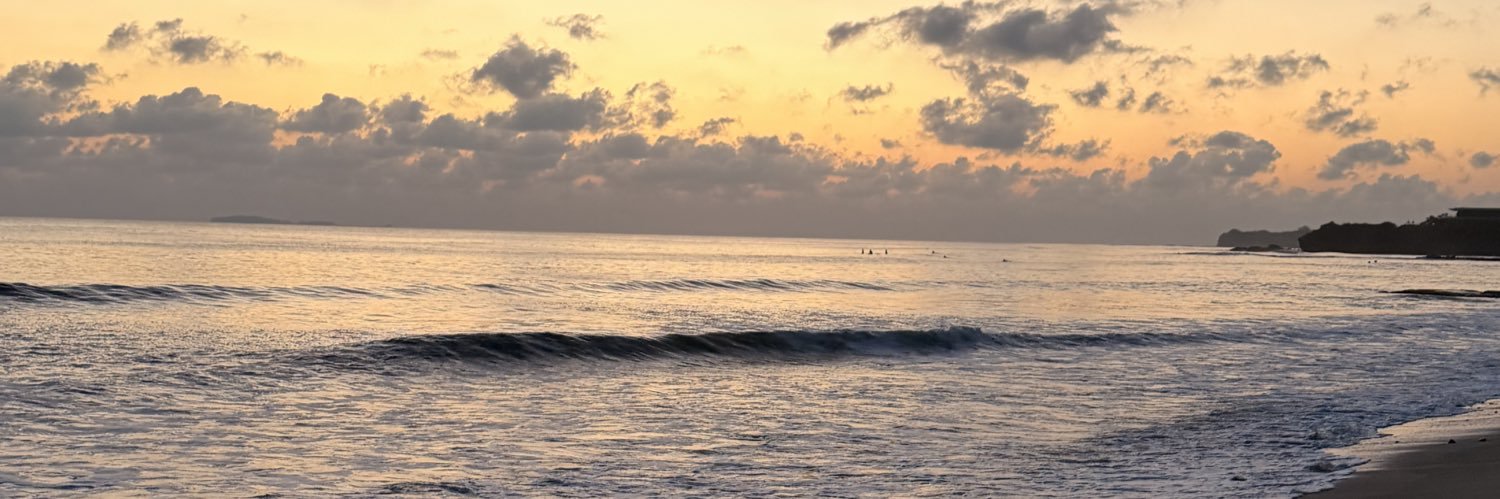 salitocohen's profile banner image