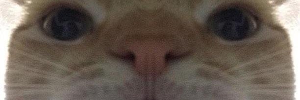Futilleeee's profile banner image