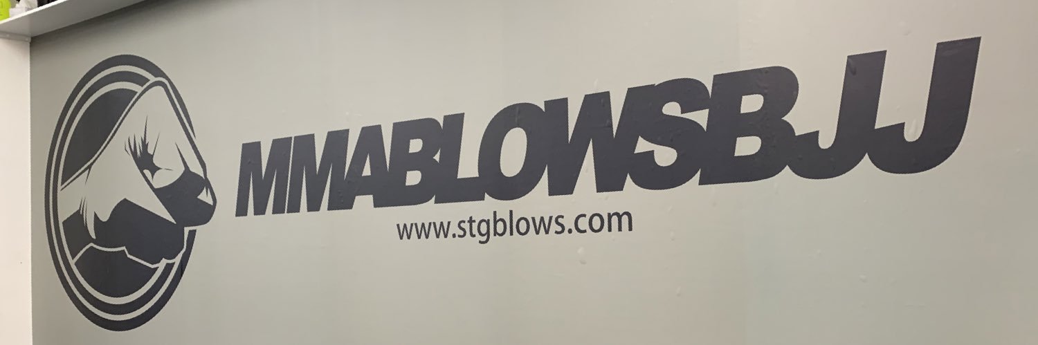 MMA&BJJ BLOWS Osaka banner