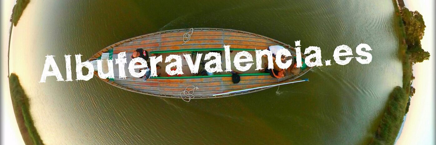 AlbuferaVLC's profile banner image