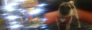 rejohero's profile banner image