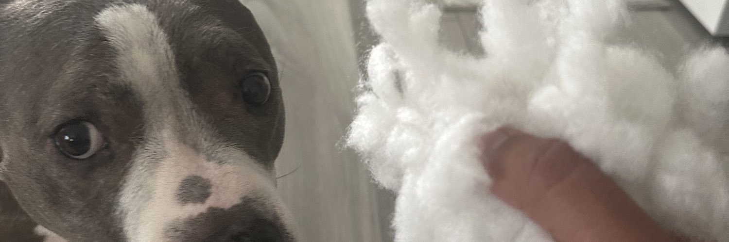 debbiesdad25's profile banner image