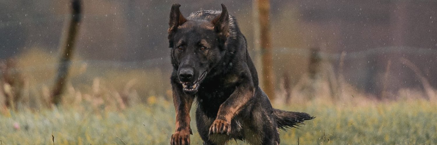 Total Dog Training banner