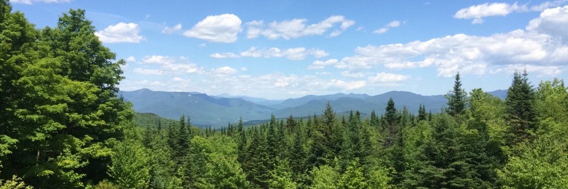 Melissa Curran banner