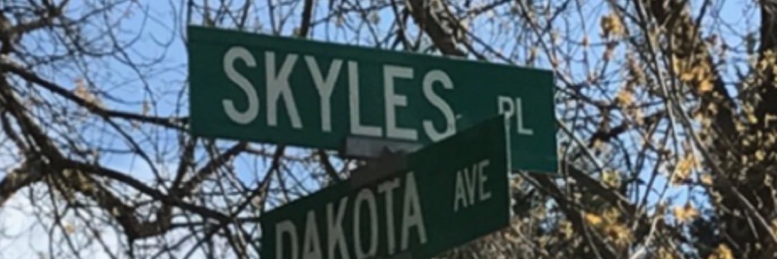 Michelle Skyles banner