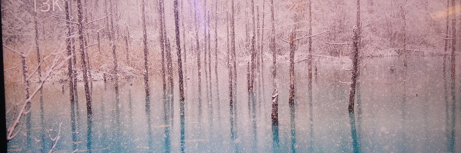 Moon Pavilion banner