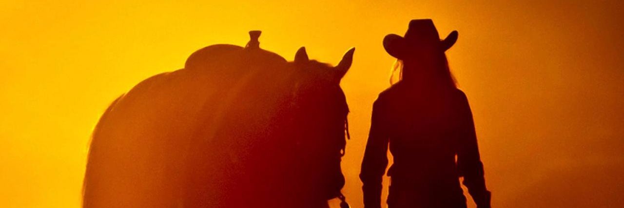 StasisEquine's profile banner image