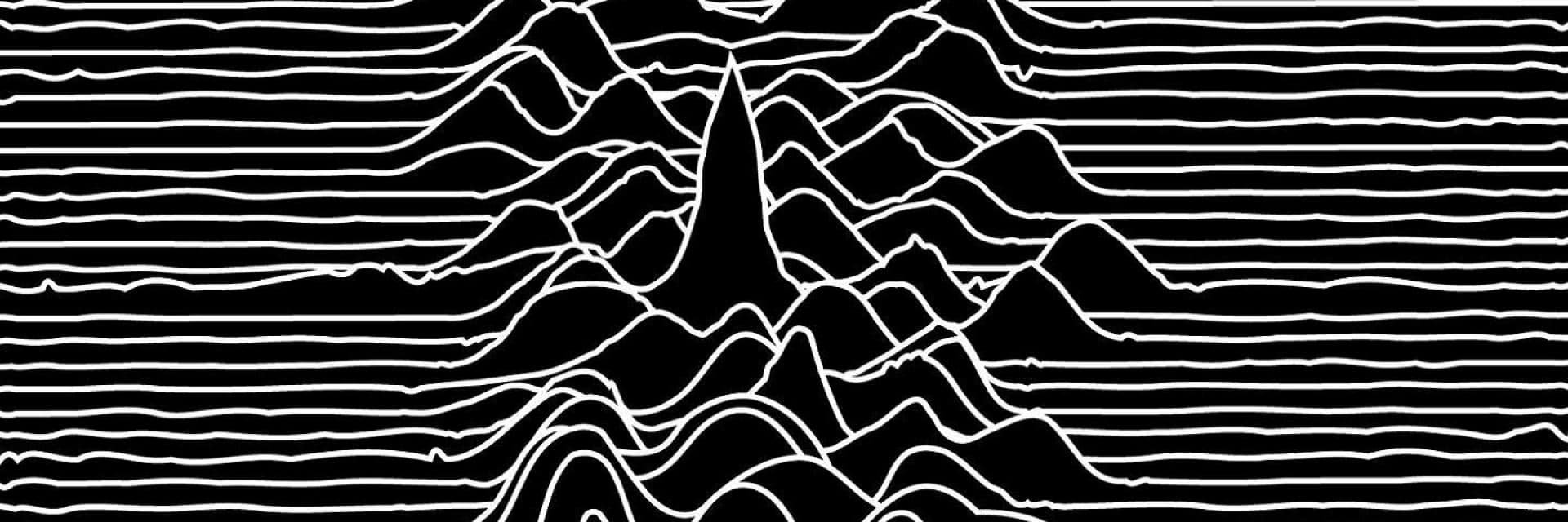 Lupe Cornejo banner