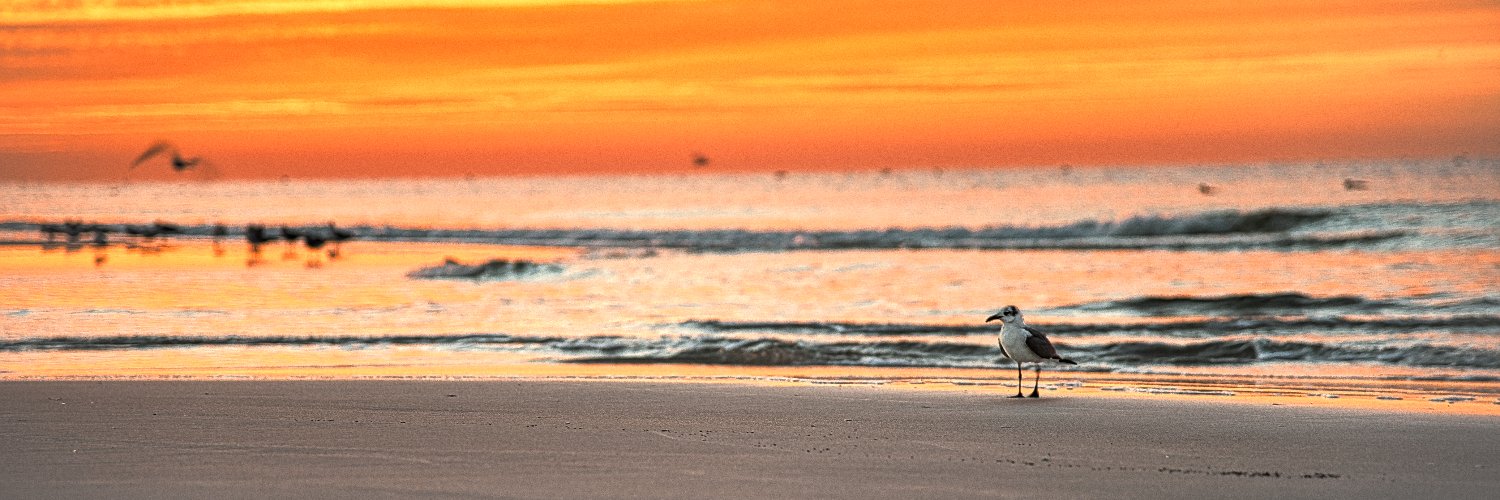 Jeffery_Hartman's profile banner image