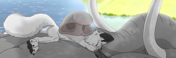 MetalFoxT Profile Banner