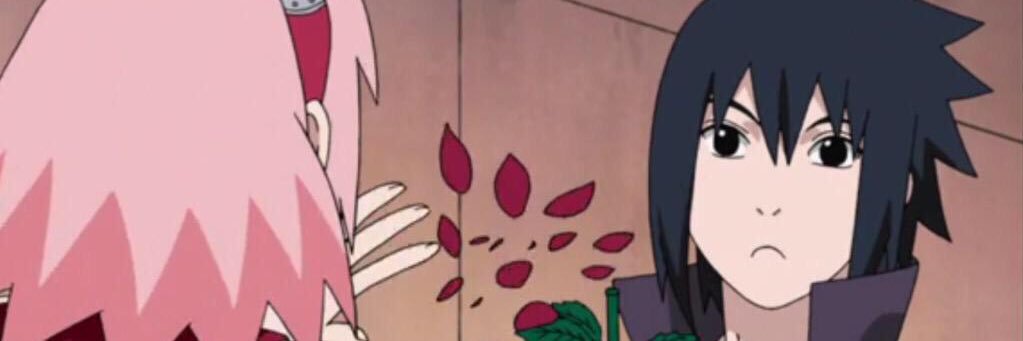 RaunchyTomato's profile banner image