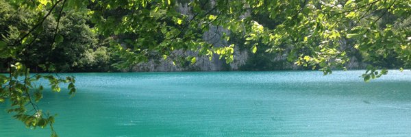 welshnatthomas Profile Banner