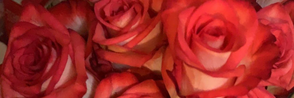VickiGomez7's profile banner image