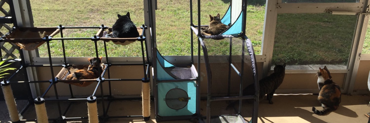 Skittles & Friends Purrs4Peace, ☮️🇨🇦🇺🇦's banner