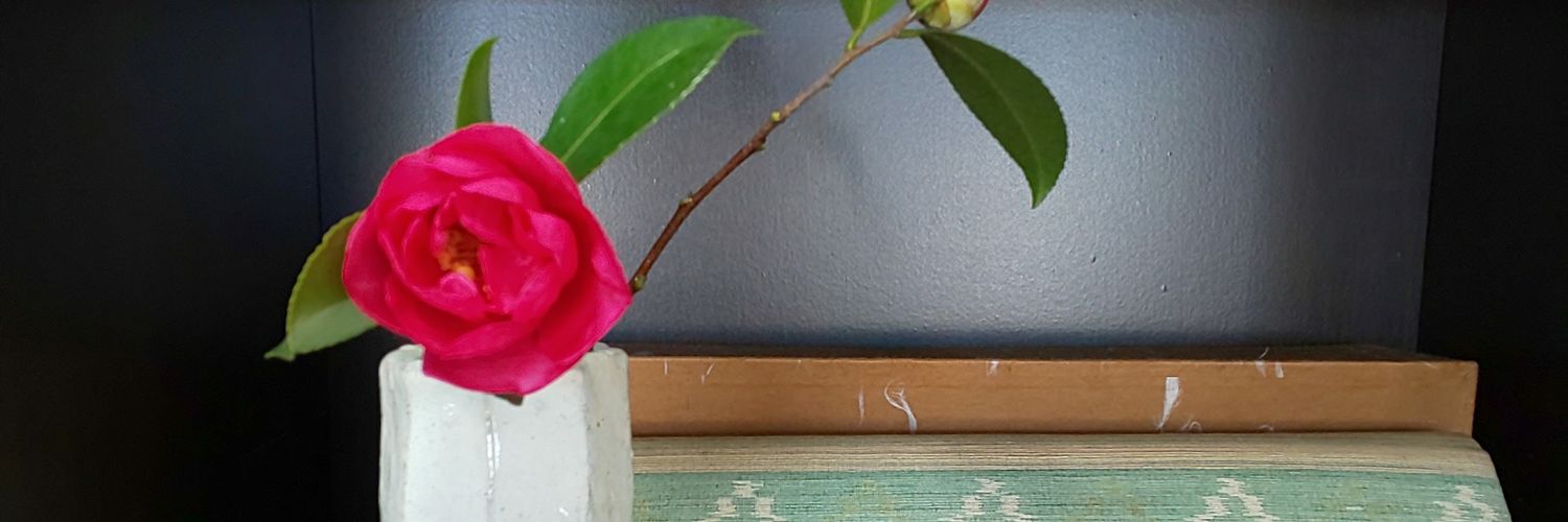 cotoyawa's profile banner image