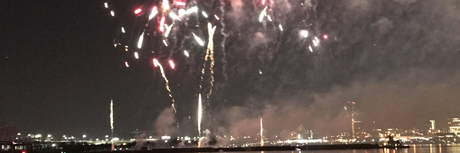 Rodger Dodger banner