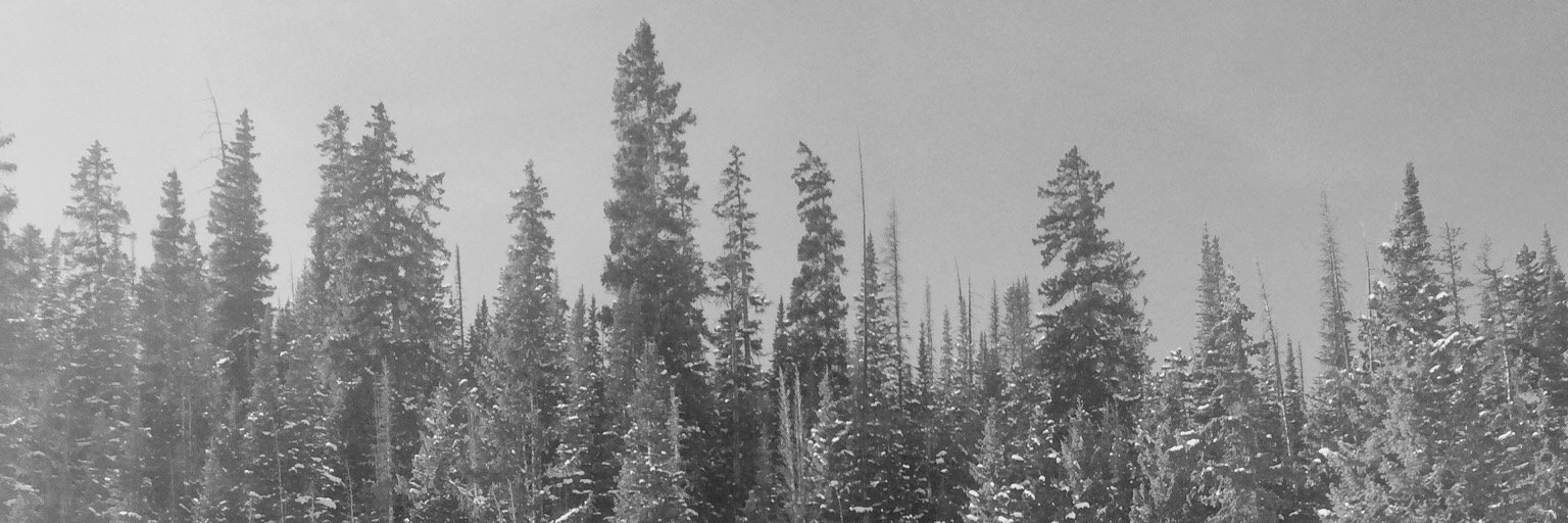 markandrsn's profile banner image