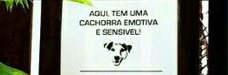 alefinho banner