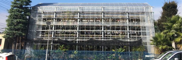 KBromeliads Profile Banner