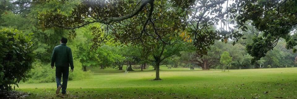 Antonio Punte banner