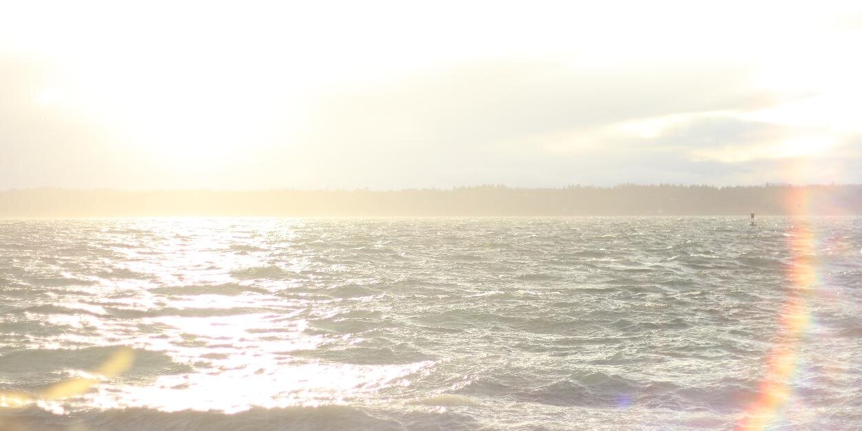 Mars Williams banner