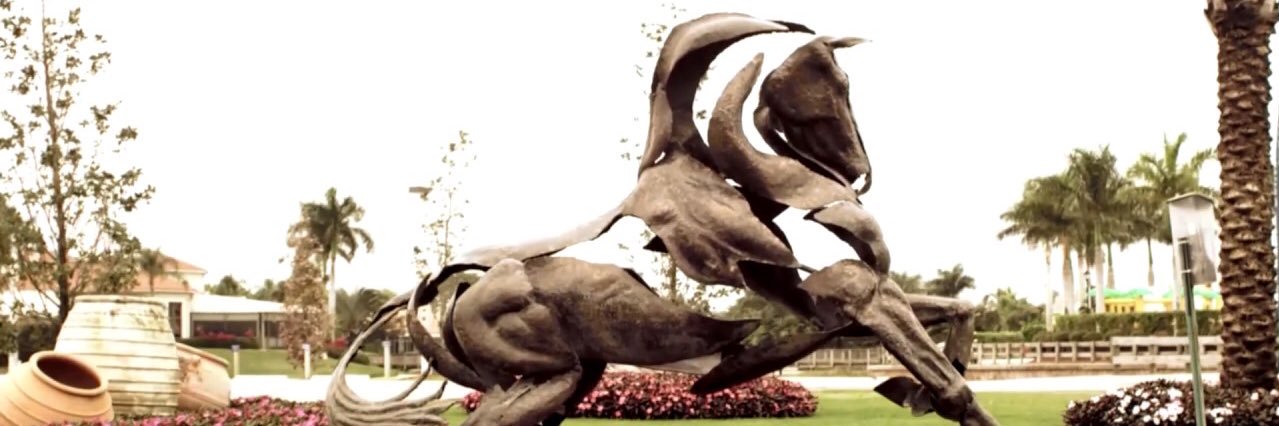 TXEquestrian banner
