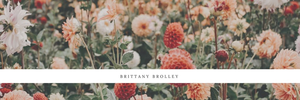 brittanybrolley's profile banner image