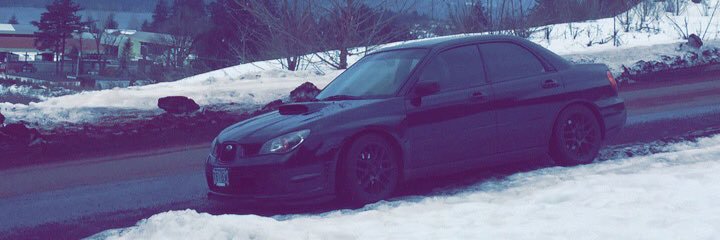 Alexus__Rose's profile banner image