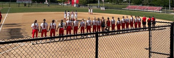 LM_Softball Profile Banner