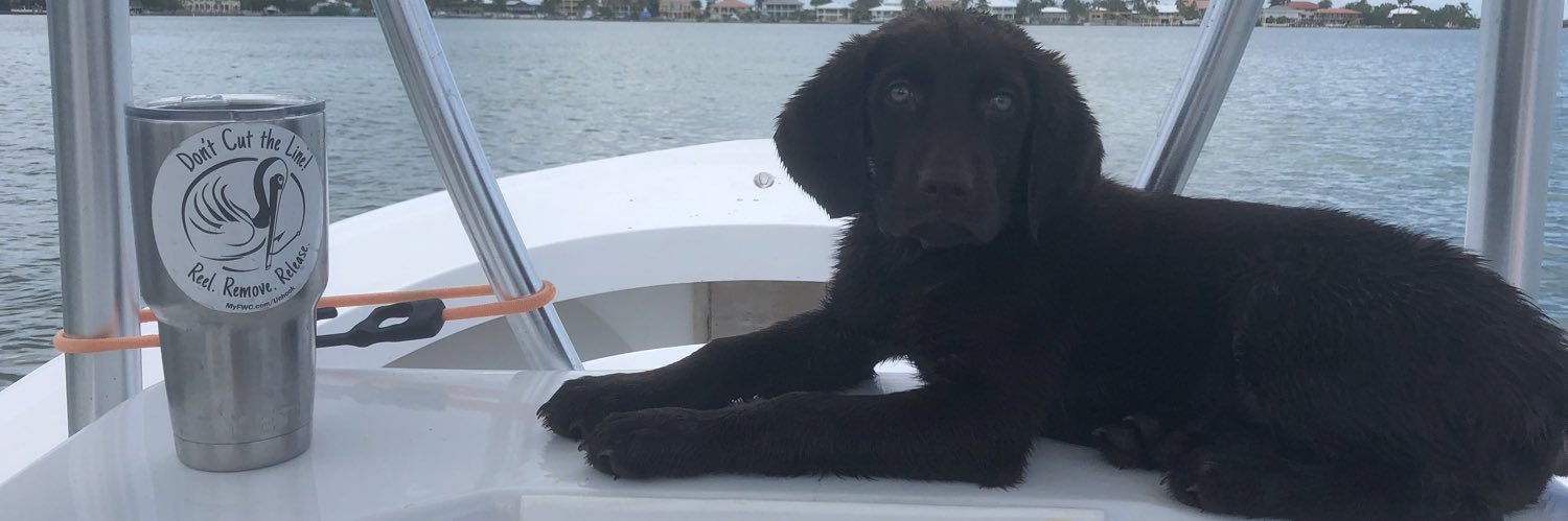DixieLeeMurphy's profile banner image