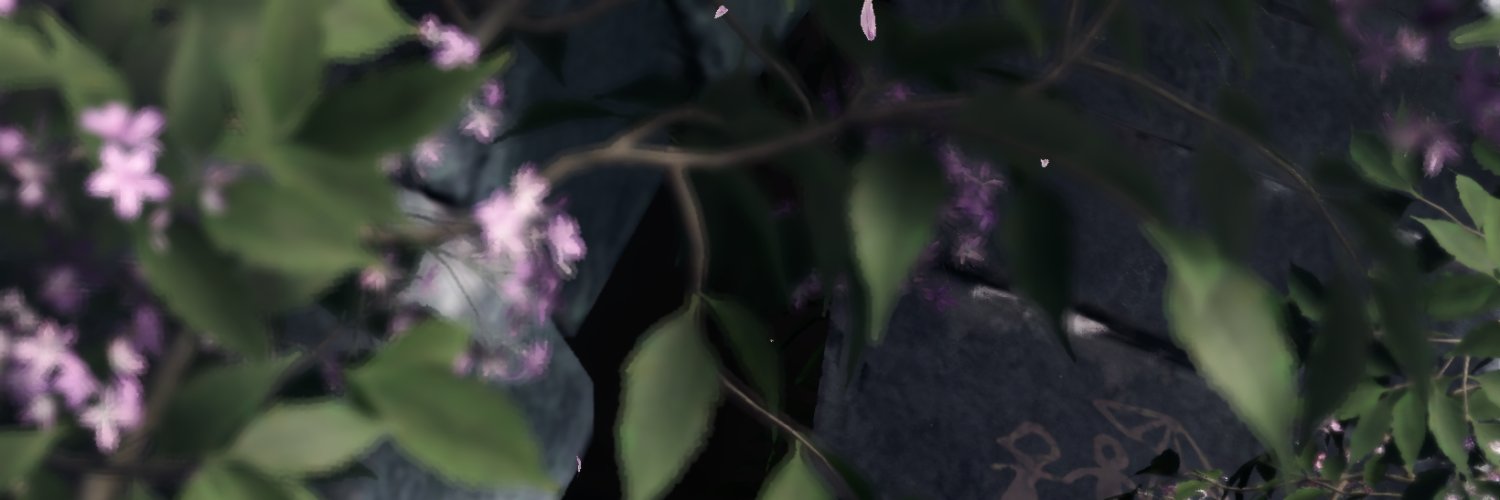 珊瑚虫 banner