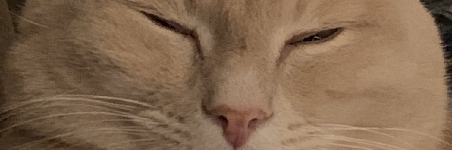 dpanderson96's profile banner image