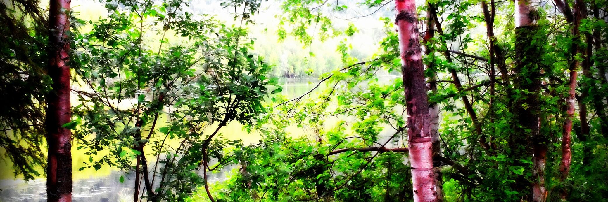 chilloutdani's profile banner image