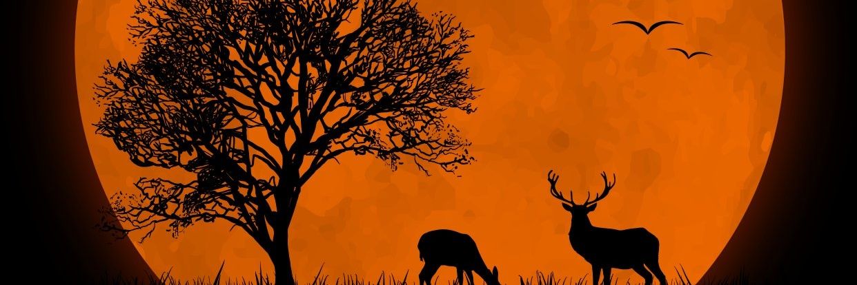 esthwala's profile banner image