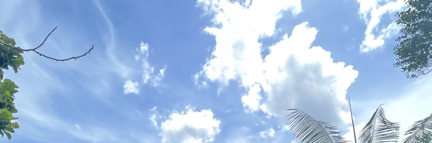 pi banner