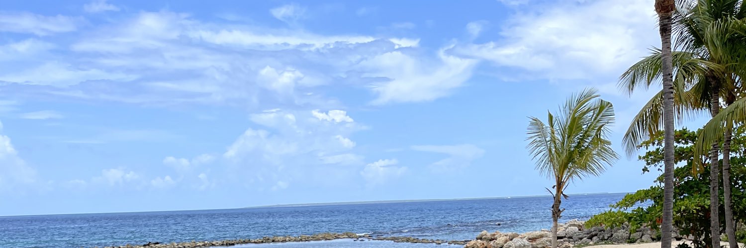 LiliSenra's profile banner image