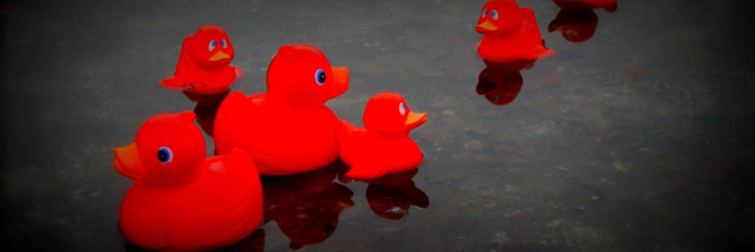 redduck120's profile banner image